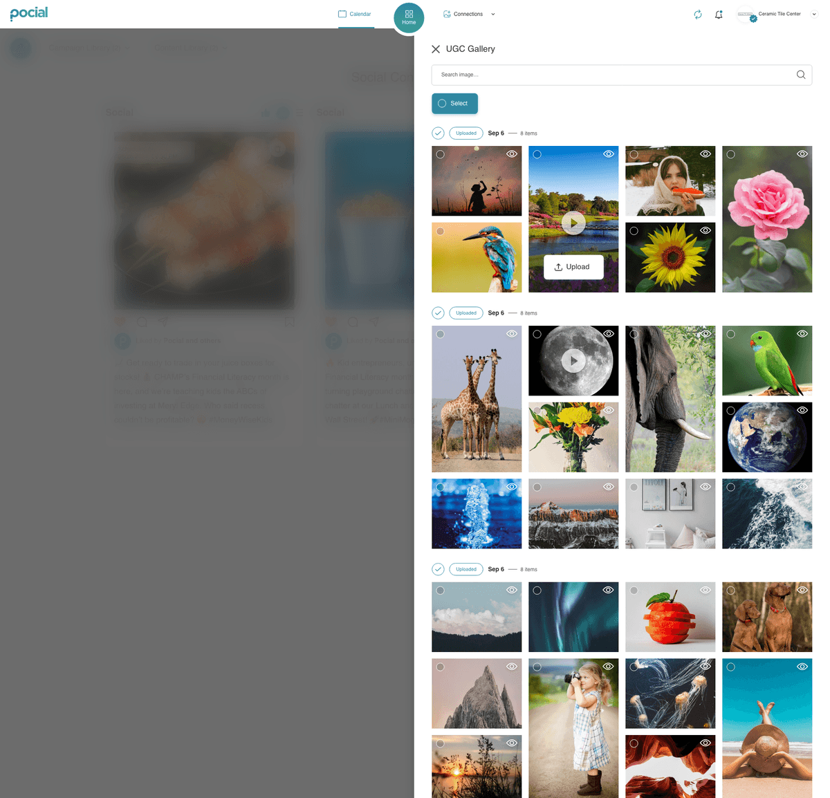 app · ugc