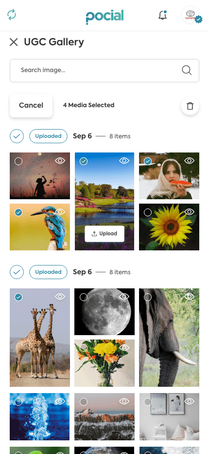 UGC Gallery